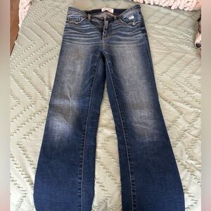 Buckle, size 27, tailored bootcut, Parker jeans, high rise